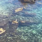 Διαμέρισμα L'alba Di Francesca