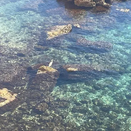 Daire L'alba Di Francesca